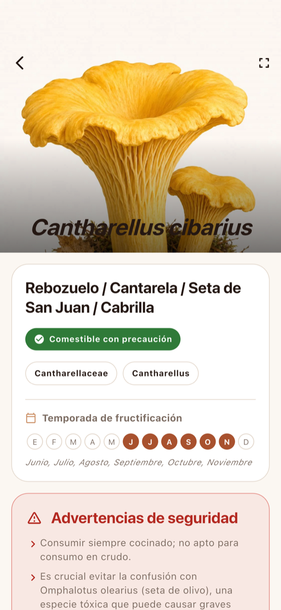 Ficha de especie de MicoAtlas